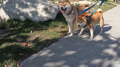 立ち止まってしまいました！