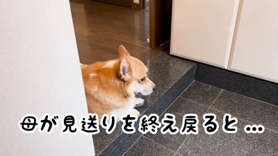 寂しくてしょんぼり