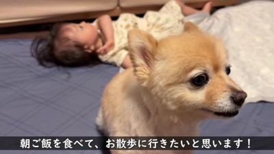 仲睦まじい2人でした