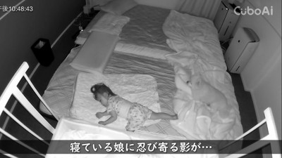 ポメくんがやってきた!!
