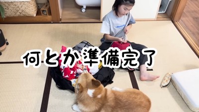 荷造り中も離れない…
