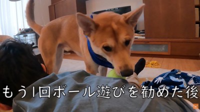 「ほら、ボールで遊びなよ～」