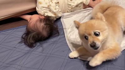 赤ちゃんの動きにびっくり!