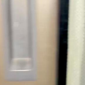 部屋の電気を消して仕事に行った結果→帰宅後、留守番していた大型犬が…露骨すぎる『拗ねた態度』が39万再生「頑張ったね」「完全に怒ってるｗ」