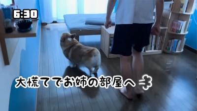 「もう帰ってきた！？」