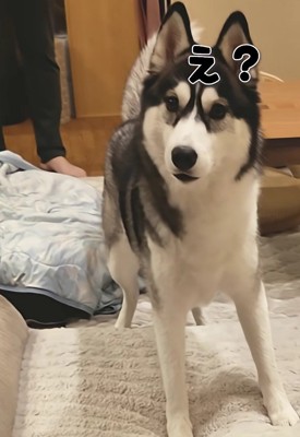 「？」