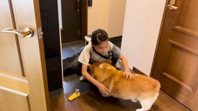 悲しむジノちゃん…