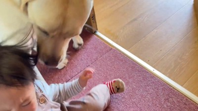 女の子が転んでしまう場面も…!
