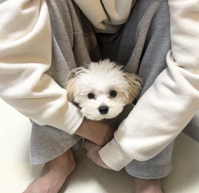 すっぽり