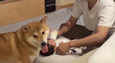 赤ちゃんの横で舌を出す犬