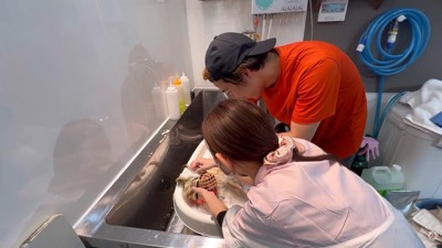 途中から気持ち良さそうなお顔に♪