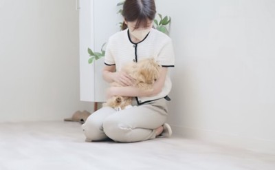 女性に抱っこされる犬