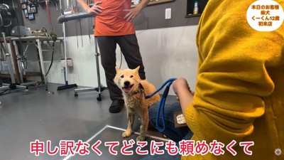 噛み癖があってお手入れができず困っているそう
