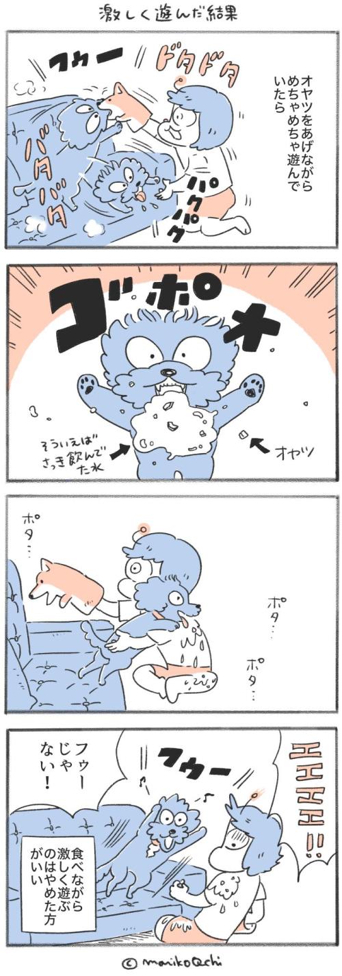 犬と暮らせば【第563話】