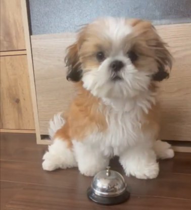 ベル