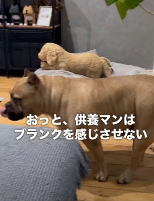 寂しくなっちゃうかな…?