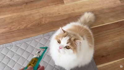 オヤツをあげようとしたら…