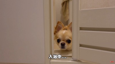 「まだ~?」とお顔をひょっこり