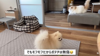 「怒られちゃった~…」