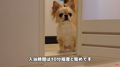 「早く上がって!」と催促