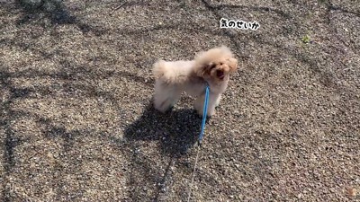 「いや、気のせいか~」