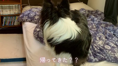 「もしかしてパパが帰ってきた！？」