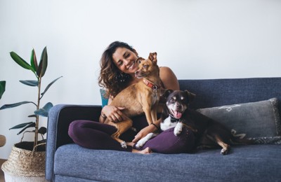 ソファに座る女性と犬たち