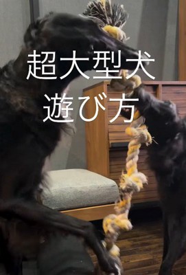迫力に圧倒されそう…！！