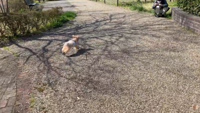 方向転換して全力ダッシュ!