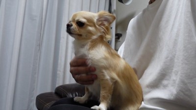 再び甘えん坊モード♡