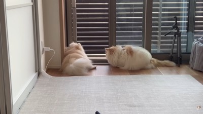 あっという間に仲直り♡