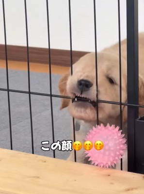 「ママ、行かないで~」
