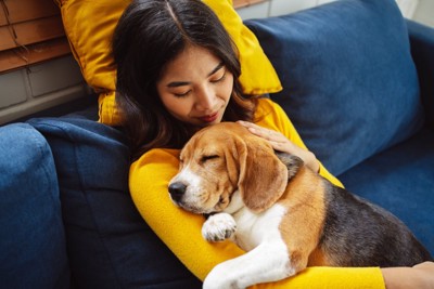 女性の腕の中で眠る犬