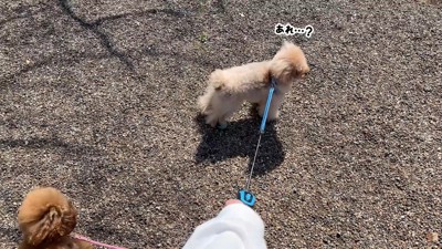 「あれ?誰かいないかも…」