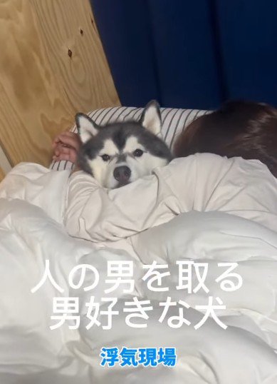愛犬の章末ちゃんだった