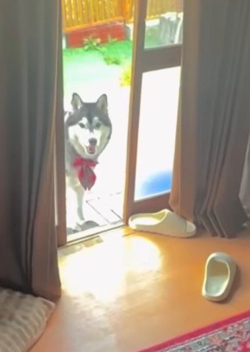 どうせ捕まえるんでしょ？
