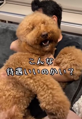 口が開きっぱなし！
