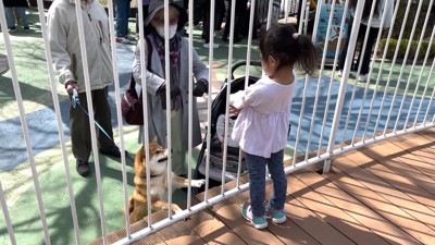 「戻ってきて！」とお手々を伸ばす花子ちゃん