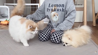 寄り添ってくれています♪