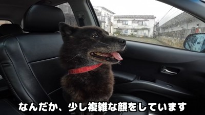 お別れは辛いけれど、会えてよかったね！