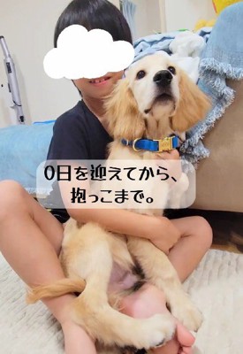 「抱っこも余裕だよ！！」