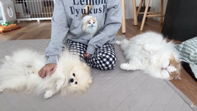 ふれあいタイム♪