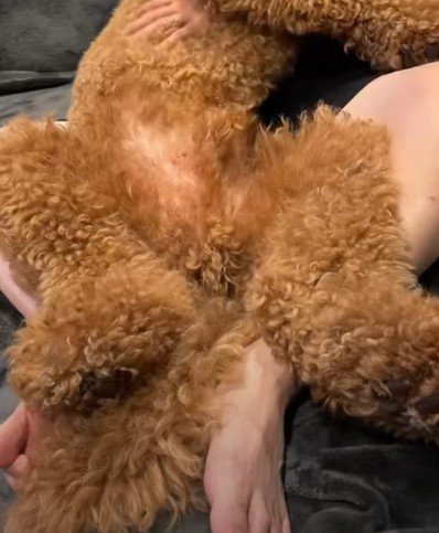 体重20キロ超えのちくわちゃん