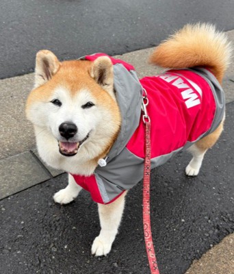 「まだ帰りたくない！」
