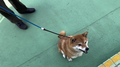 「無事でよかった」とニッコリ