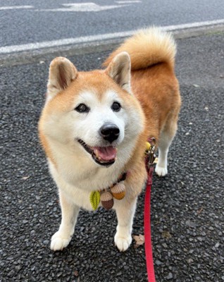 ニッコニコの笑顔！