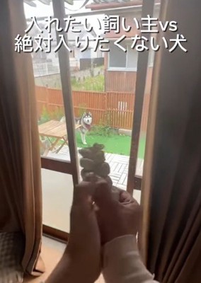 章末ちゃんを部屋に入れたい