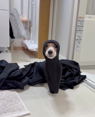 顔が出てきた！