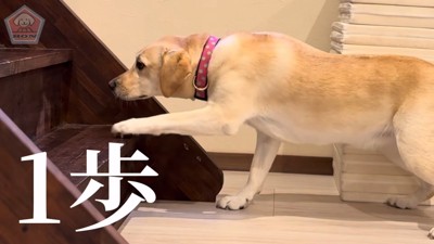 勇気を出して…