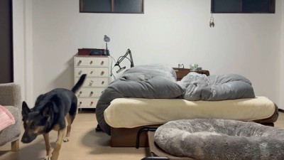 帰るのが早すぎる！